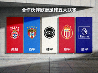 合作伙伴欧洲足球五大联赛标志墙，包括英超、西甲等